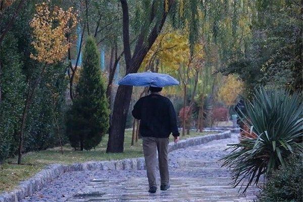 سال جاری وضعیت بارش باران در استان بوشهر مطلوب پیش بینی می گردد