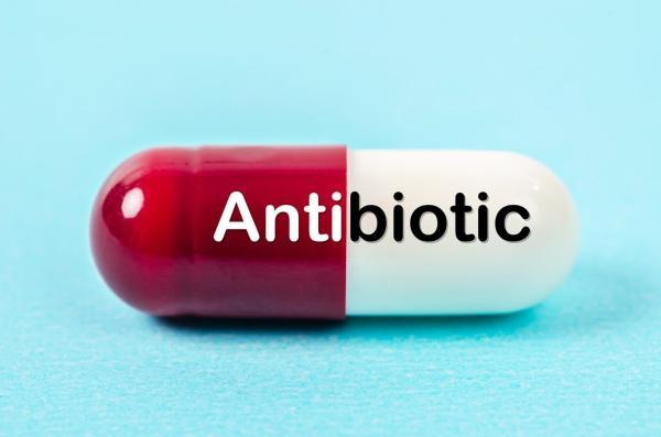 مصرف آنتی بیوتیک برای مبتلایان آنفلوآنزا ضروری است؟!